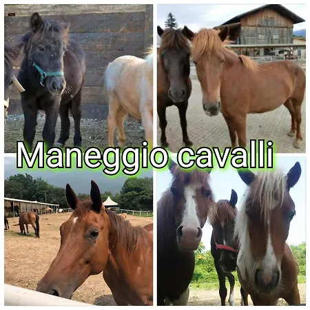La Collina Dell'incanto *