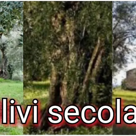 La Collina Dell'incanto Prázdninový dům