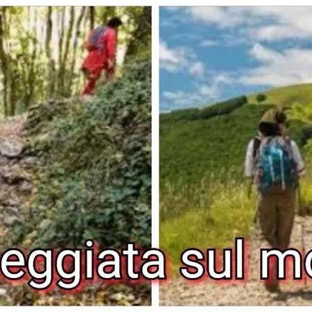 La Collina Dell'incanto * Nazzano